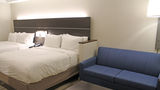 Holiday Inn Express & Suites South I-55 Suite