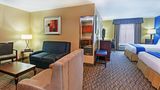 Holiday Inn Express & Stes Houston Dwtn Suite