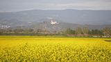 AKZENT Hotel Landgasthof Murrer Other