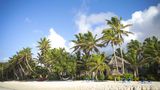 Little Polynesian Resort Beach