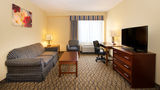 Holiday Inn Chicago-Downtown Suite