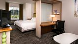 SpringHill Suites Southside Works Suite