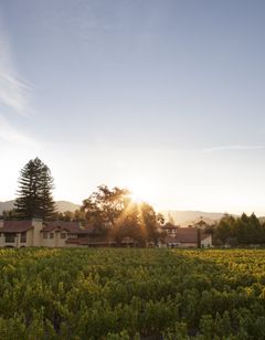 Napa Valley Lodge