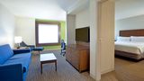 Holiday Inn Express & Sts Downtown Univ Suite