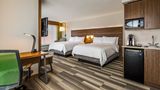 Holiday Inn Express & Suites Detroit Suite