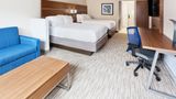 Holiday Inn Express/Suites Cartersville Room