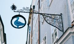 Blaue Gans Arthotel