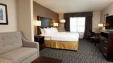 Holiday Inn Express Omaha South Ralston Suite