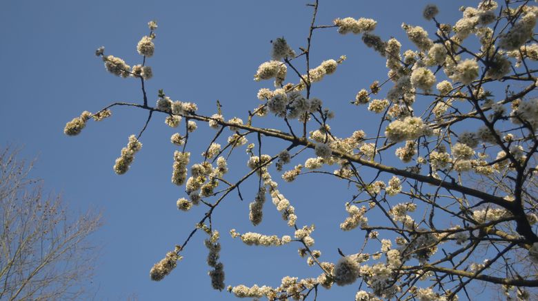 City Hotel Hengelo Hengelo Netherlands Hotels First Class Hotels In Hengelo Gds Reservation Codes Travelage West