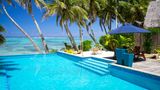 Little Polynesian Resort Pool