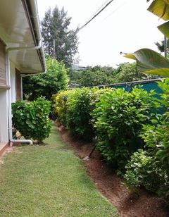 Le Relax St Joseph Guest House