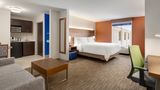 Holiday Inn Express & Suites Opelika Room