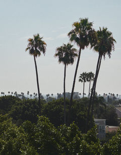 L'Ermitage Beverly Hills