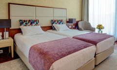 VIP Executive Art's Hotel