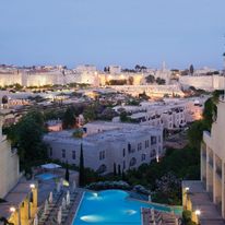 The David Citadel Hotel