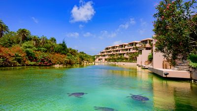 Shigira Bayside Suite Allamanda