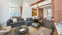 Allure of the Seas Suite