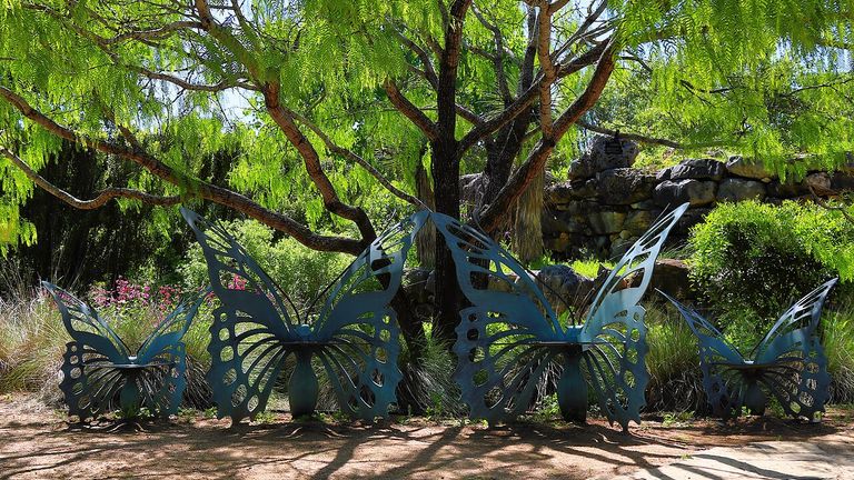 Lady Bird Johnson Wildflower Center is just 12 miles from downtown.