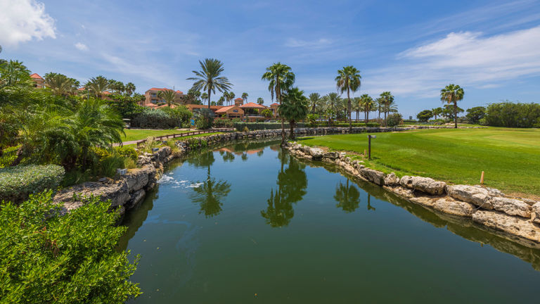 An increasing number of U.S. golfers are teeing off in Aruba.