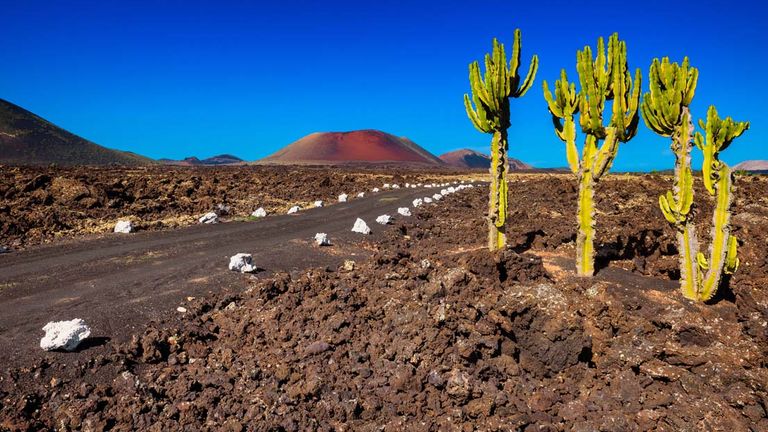 Timanfaya National Park’s lunar landscapes are well-protected.