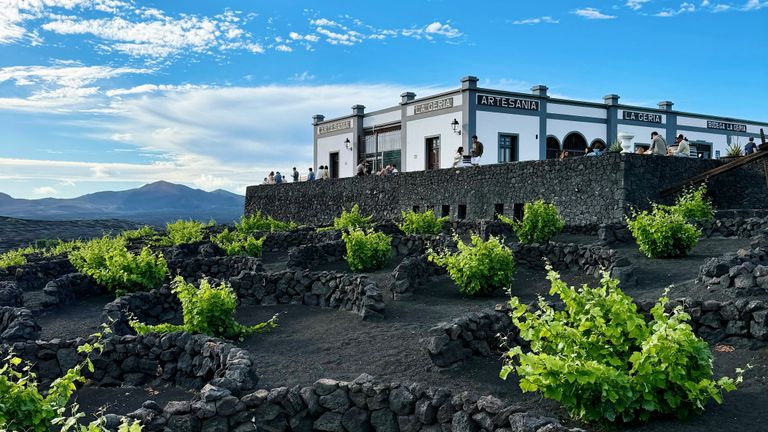 See and taste Lanzarote’s one-of-a-kind approach to winemaking at Bodega La Geria.