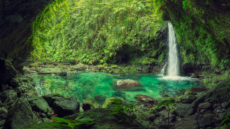 A lush cave opening frames a turquoise pool with a waterfall.