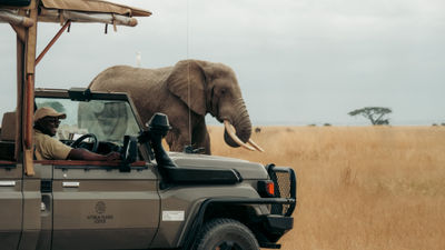 Kenya’s Amboseli National Park is known for its large elephant herds, diverse wildlife and views of Mount Kilimanjaro.