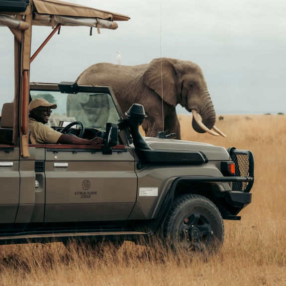 Kenya’s Amboseli National Park is known for its large elephant herds, diverse wildlife and views of Mount Kilimanjaro.