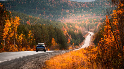 Road trips and fall foliage are just two of the trends shaping fall travel this year.