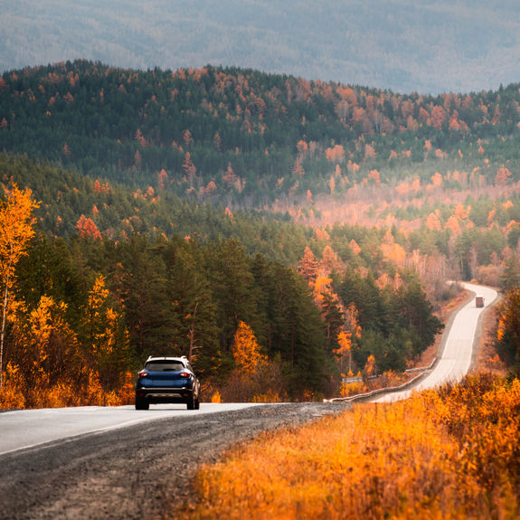 Road trips and fall foliage are just two of the trends shaping fall travel this year.