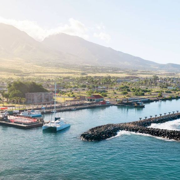 Trilogy Excursions resumed tours from Lahaina Harbor this spring for the first time since the wildfires.