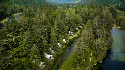 Clayoquot Wilderness Lodge offers 25 luxury safari tents, fine dining, curated outdoor adventures and more.