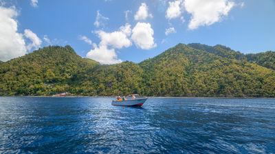 Dominica led the region with 22% year-over-year growth.