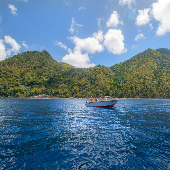 Dominica led the region with 22% year-over-year growth.