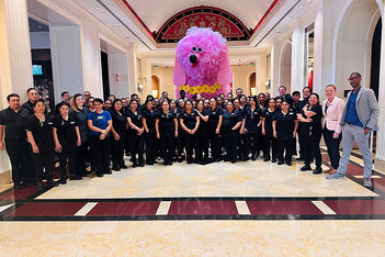 Stella Awards 2026: Best On-Site Support Staff