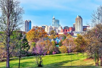 Colorful city skyline rises behind a grassy park with autumn trees.