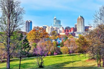 Visit Raleigh Selects Loren Gold as New President and CEO