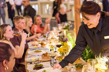 Stella Awards 2026: Best Sustainability Initiative