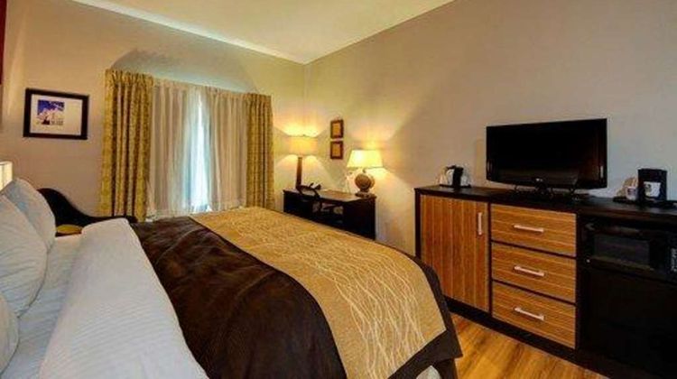 Comfort Inn & Suites Suite