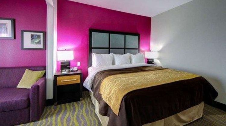 Comfort Inn & Suites Suite