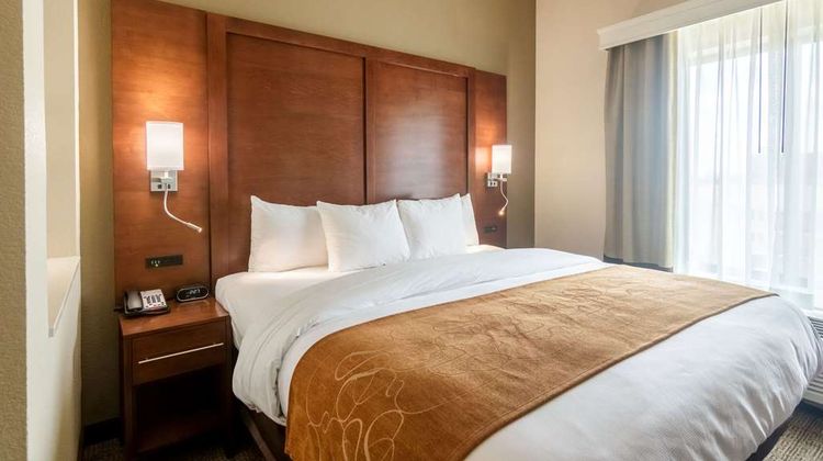 Comfort Suites Meridian And I-40 Suite