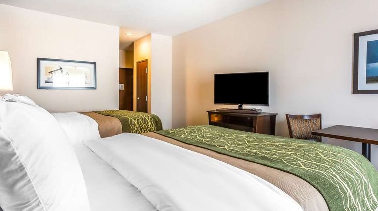 Comfort Inn & Suites Moore Room