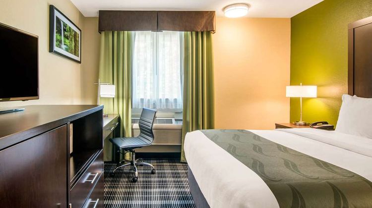 Quality Inn & Suites Room