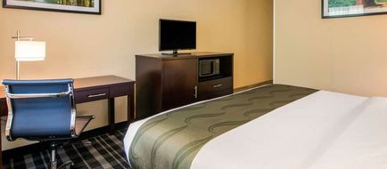 Quality Inn & Suites Room
