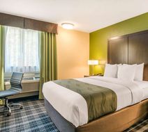 Quality Inn & Suites Room