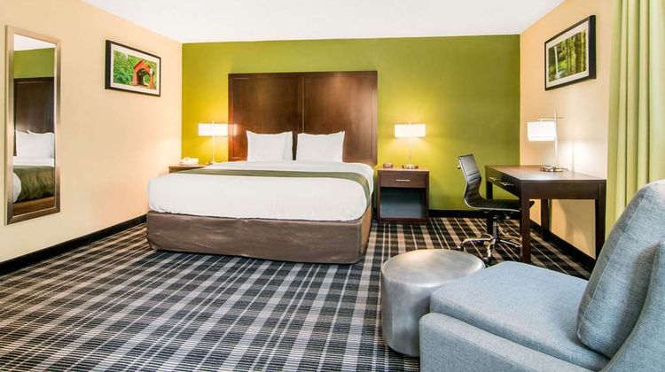 Quality Inn & Suites Suite