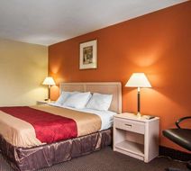 Rodeway Inn Room