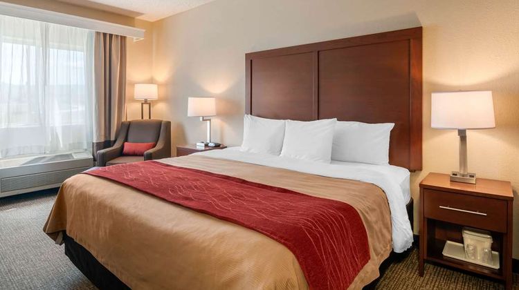 Comfort Inn Medford Room