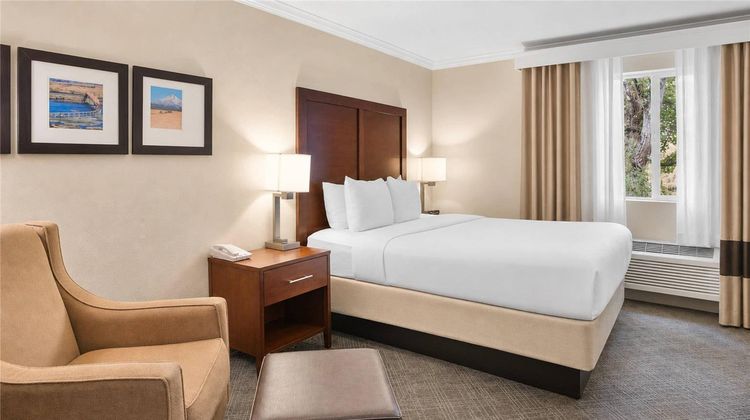 Comfort Inn Room