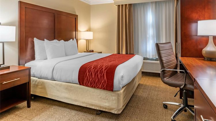Comfort Inn Room